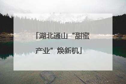 湖北通山“甜蜜产业”焕新机