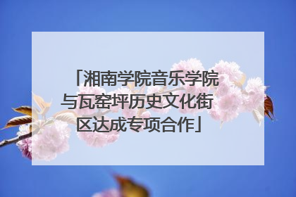 湘南学院音乐学院与瓦窑坪历史文化街区达成专项合作