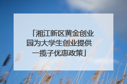 湘江新区黄金创业园为大学生创业提供一揽子优惠政策