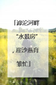 滹沱河畔“水景房”，崖沙燕育雏忙