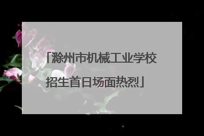 滁州市机械工业学校招生首日场面热烈