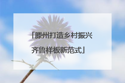 滕州打造乡村振兴齐鲁样板新范式