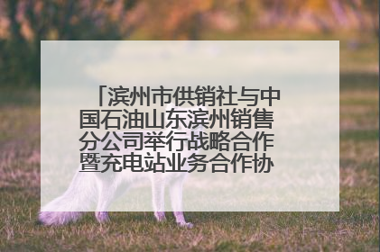 滨州市供销社与中国石油山东滨州销售分公司举行战略合作暨充电站业务合作协议签约仪式