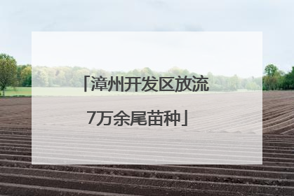 漳州开发区放流7万余尾苗种