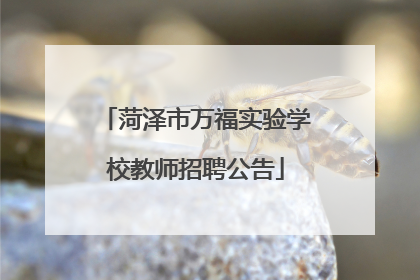 菏泽市万福实验学校教师招聘公告