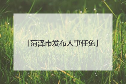 菏泽市发布人事任免