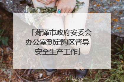 菏泽市政府安委会办公室到定陶区督导安全生产工作