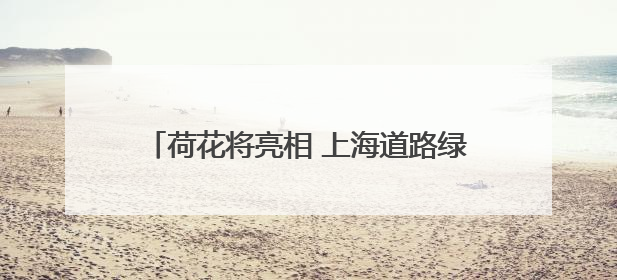 荷花将亮相 上海道路绿化next level