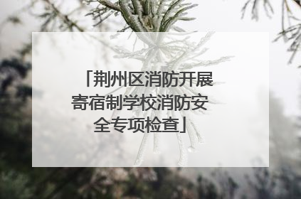 荆州区消防开展寄宿制学校消防安全专项检查