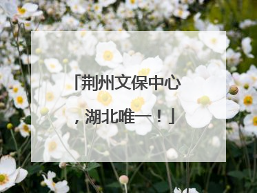 荆州文保中心，湖北唯一！