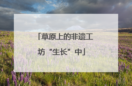 草原上的非遗工坊“生长”中