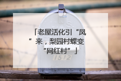 老屋活化引“凤”来，梨园村蝶变“网红村”