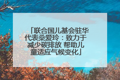 联合国儿基会驻华代表桑爱玲：致力于减少碳排放 帮助儿童适应气候变化
