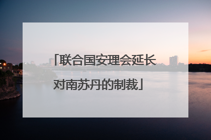 联合国安理会延长对南苏丹的制裁