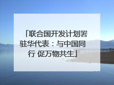 联合国开发计划署驻华代表：与中国同行 促万物共生