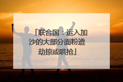 联合国：运入加沙的大部分面粉遭劫掠或哄抢