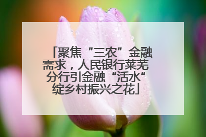 聚焦“三农”金融需求，人民银行莱芜分行引金融“活水”绽乡村振兴之花