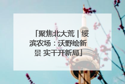 聚焦北大荒｜绥滨农场：沃野绘新景 实干开新局