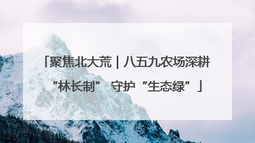 聚焦北大荒｜八五九农场深耕“林长制” 守护“生态绿”