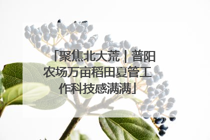 聚焦北大荒｜普阳农场万亩稻田夏管工作科技感满满