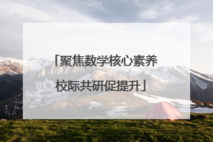 聚焦数学核心素养 校际共研促提升