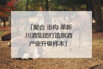 聚合 重构 革新 川酒集团打造原酒产业升级样本