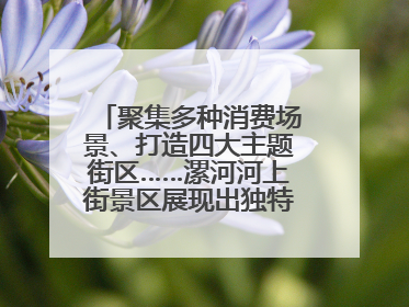 聚集多种消费场景、打造四大主题街区……漯河河上街景区展现出独特“夜”活力