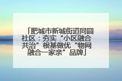 肥城市新城街道同圆社区：夯实“小区融合共治”根基做优“物网融合一家亲”品牌
