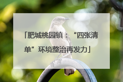 肥城桃园镇：“四张清单”环境整治再发力