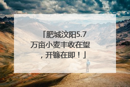肥城汶阳5.7万亩小麦丰收在望，开镰在即！