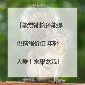 能赏能摘还能提供情绪价值 年轻人爱上水果盆栽