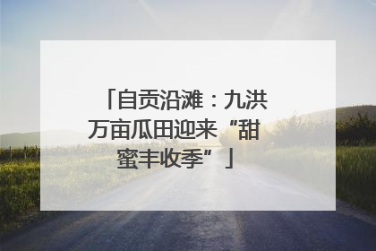 自贡沿滩：九洪万亩瓜田迎来“甜蜜丰收季”