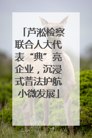 芦淞检察联合人大代表“典”亮企业，沉浸式普法护航小微发展