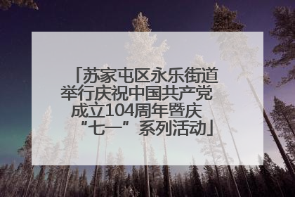苏家屯区永乐街道举行庆祝中国共产党成立104周年暨庆“七一”系列活动