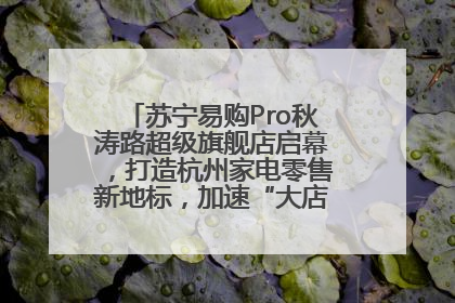 苏宁易购Pro秋涛路超级旗舰店启幕，打造杭州家电零售新地标，加速“大店攻略”全省布局
