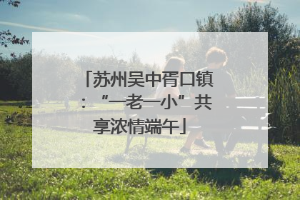 苏州吴中胥口镇：“一老一小”共享浓情端午