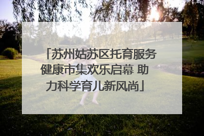 苏州姑苏区托育服务健康市集欢乐启幕 助力科学育儿新风尚