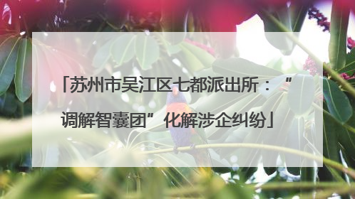 苏州市吴江区七都派出所：“调解智囊团”化解涉企纠纷