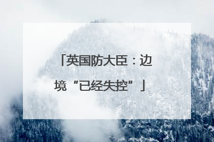 英国防大臣：边境“已经失控”
