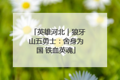 英雄河北｜狼牙山五勇士：舍身为国 铁血英魂
