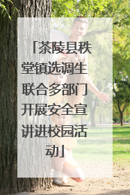 茶陵县秩堂镇选调生联合多部门开展安全宣讲进校园活动