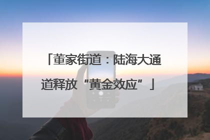 董家街道：陆海大通道释放“黄金效应”