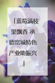 蓝莓满枝果飘香 承德宽城特色产业助振兴