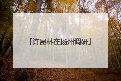 许昆林在扬州调研