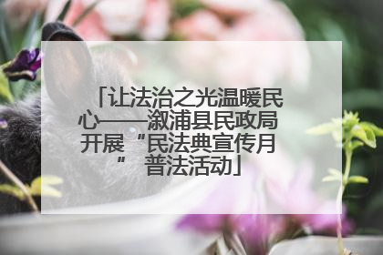 让法治之光温暖民心——溆浦县民政局开展“民法典宣传月” 普法活动
