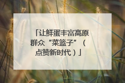 让鲜蛋丰富高原群众“菜篮子”（点赞新时代）