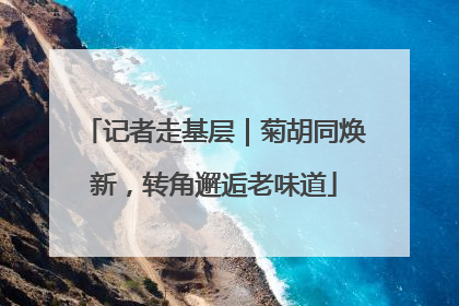 记者走基层｜菊胡同焕新，转角邂逅老味道