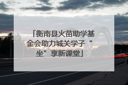衡南县火苗助学基金会助力城关学子“坐”享新课堂