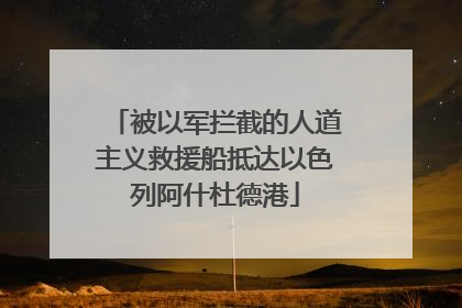 被以军拦截的人道主义救援船抵达以色列阿什杜德港