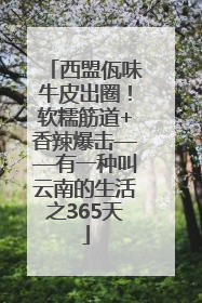 西盟佤味牛皮出圈！软糯筋道+香辣爆击——有一种叫云南的生活之365天